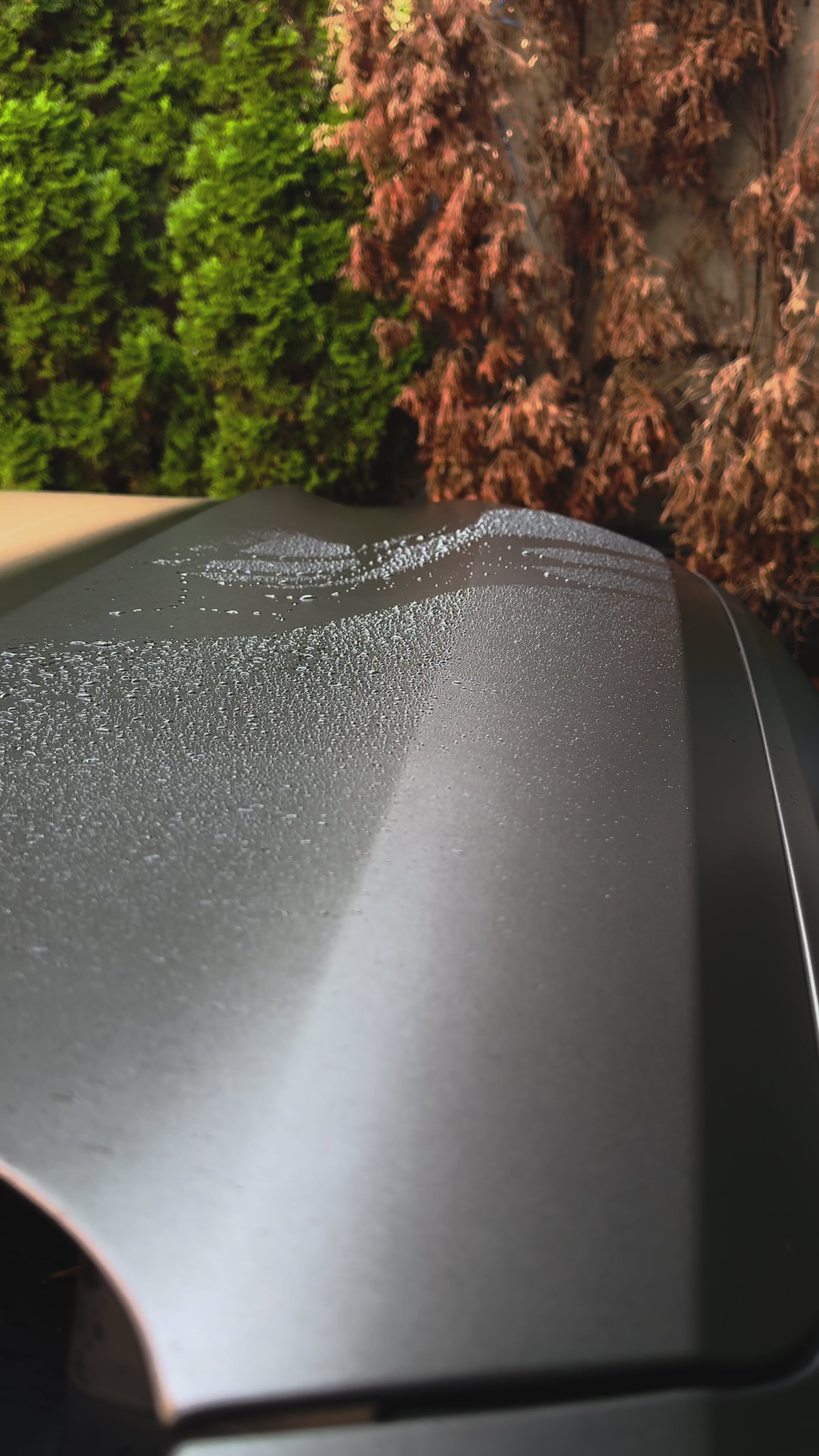 Качете видеоклип: 